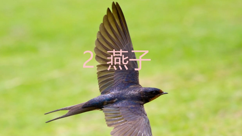 克孜尔乡中心小学杜林霞晒课_第1页