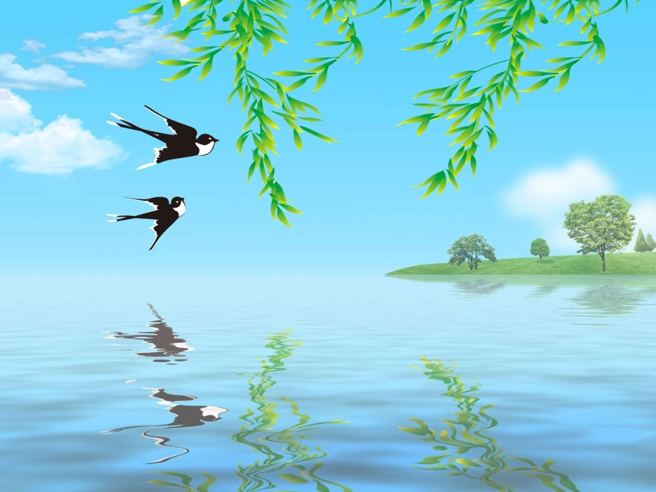 “燕子”教学课件_第2页