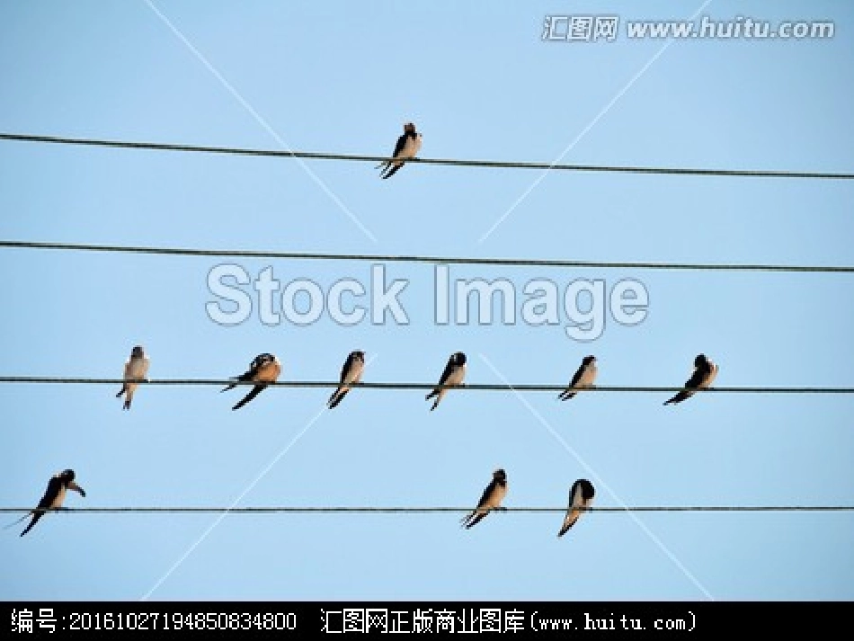 “燕子”教学课件_第3页