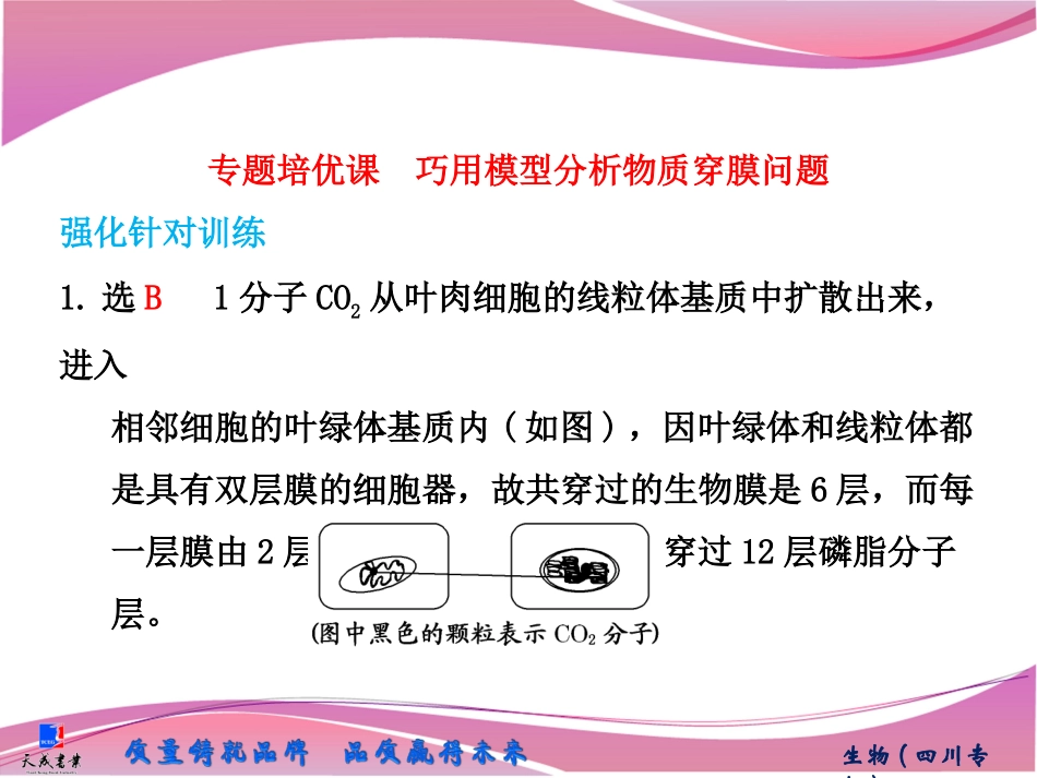 必修1第二单元第三讲　专题培优课　巧用模型分析物质穿膜问题_第1页