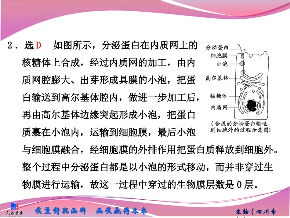 必修1第二单元第三讲　专题培优课　巧用模型分析物质穿膜问题_第2页