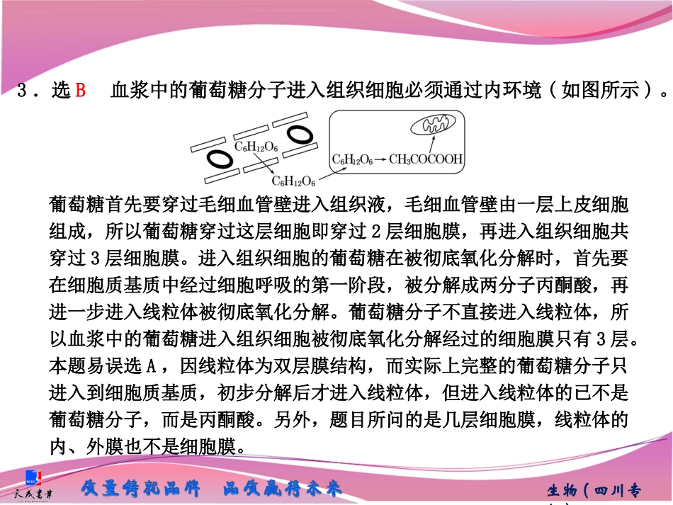 必修1第二单元第三讲　专题培优课　巧用模型分析物质穿膜问题_第3页
