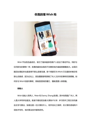 你真的懂Wish吗