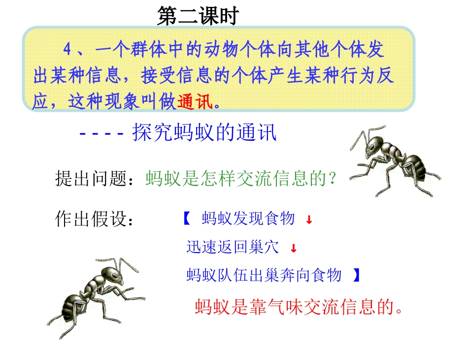 八（上）社会行为2_第1页