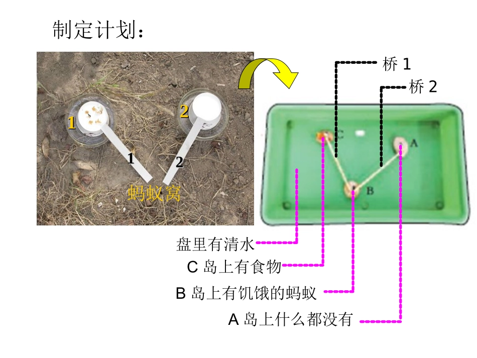 八（上）社会行为2_第2页