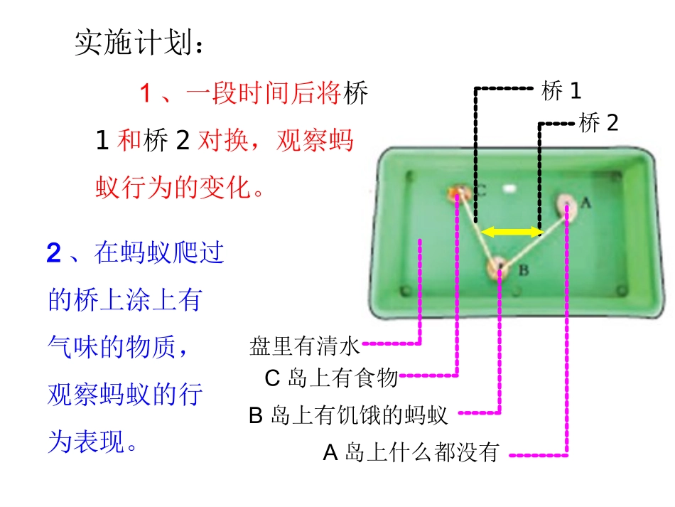 八（上）社会行为2_第3页