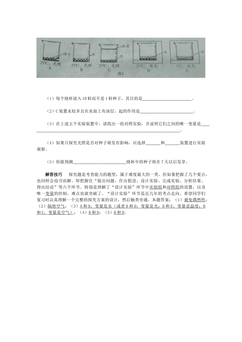 被子植物的一1_第3页