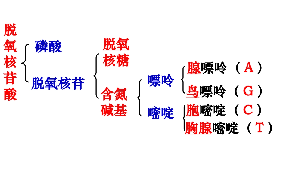 多聚酶链式反应扩增DNA片段（用）_第3页