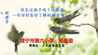 部编版《燕子》课件 熊盈盈