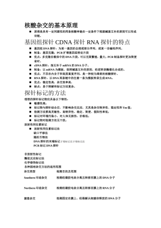 核酸杂交的基本原理