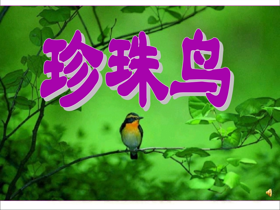 《珍珠鸟》11111_第2页