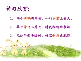 《珍珠鸟》11111