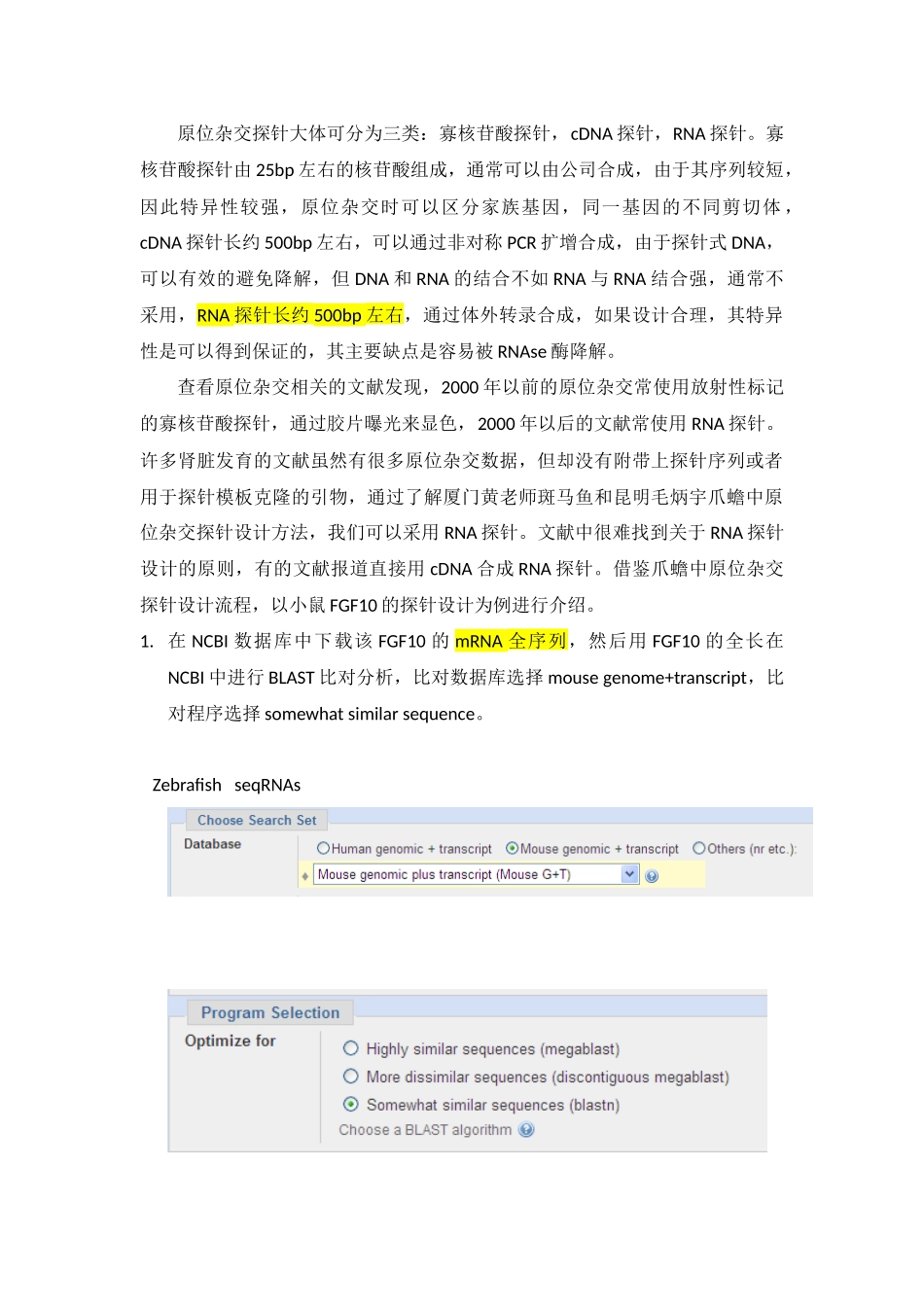探针设计原则_第1页
