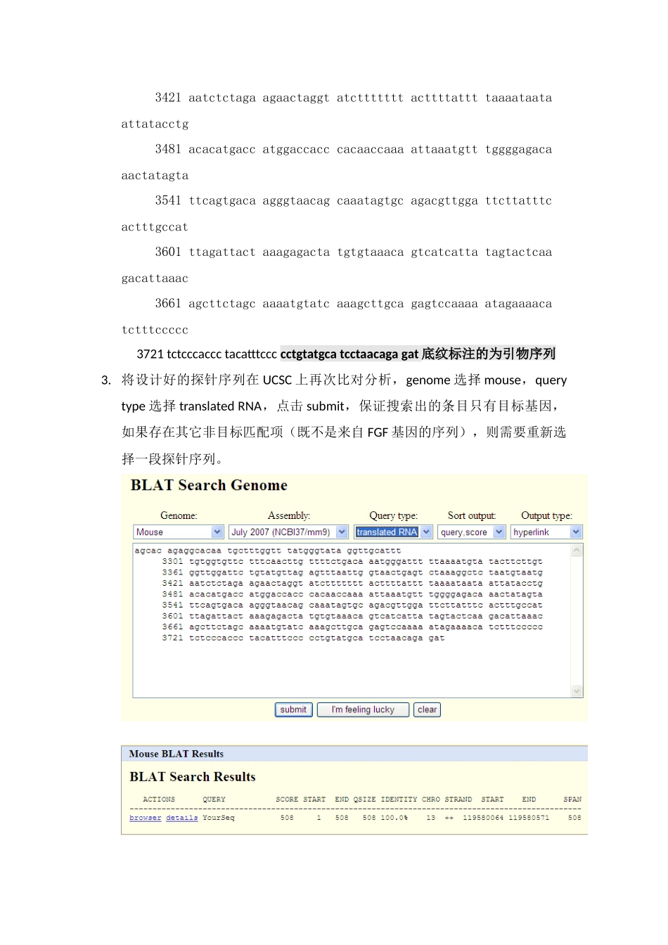 探针设计原则_第3页