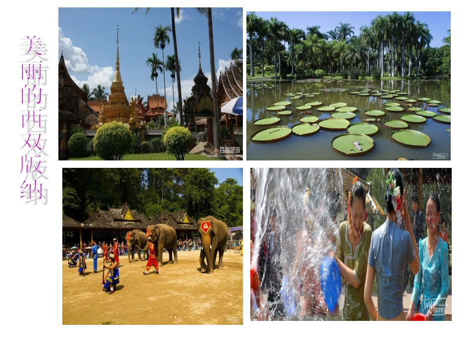 金孔雀轻轻跳_第3页