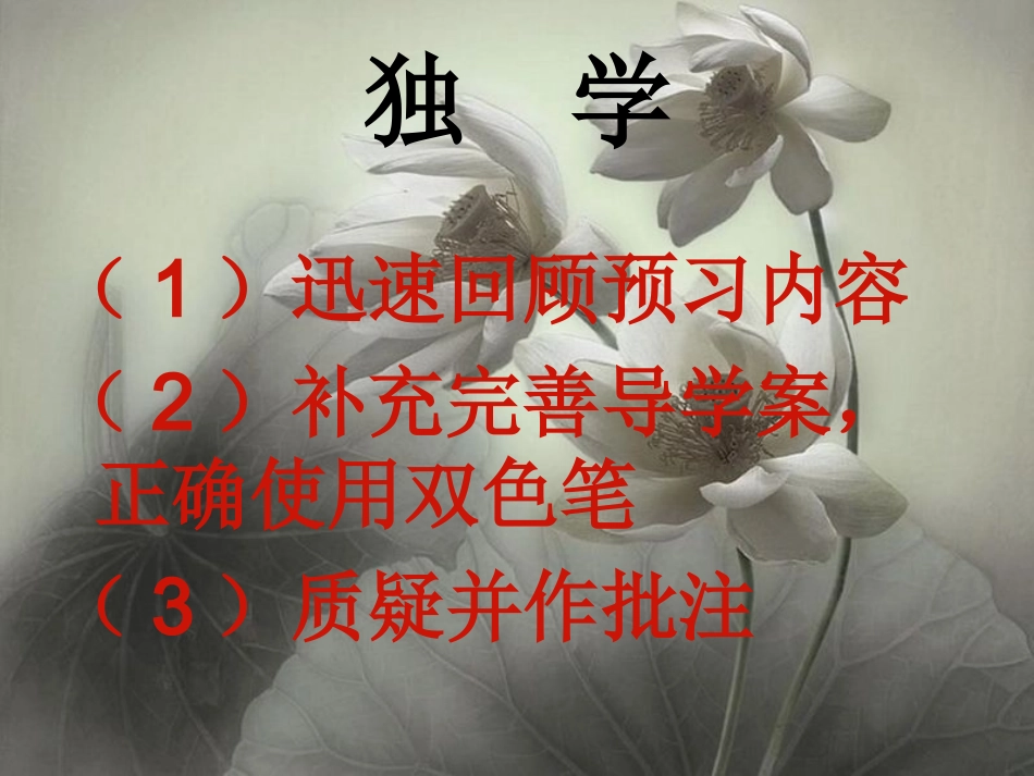 莲文化的魅力_第2页