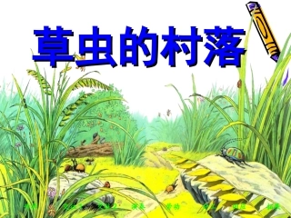 草虫的村落课件杜艳