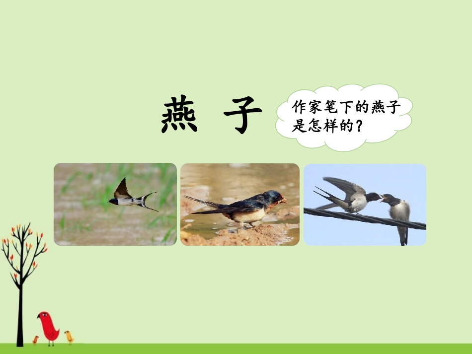 《燕子》尚志霞课件_第2页