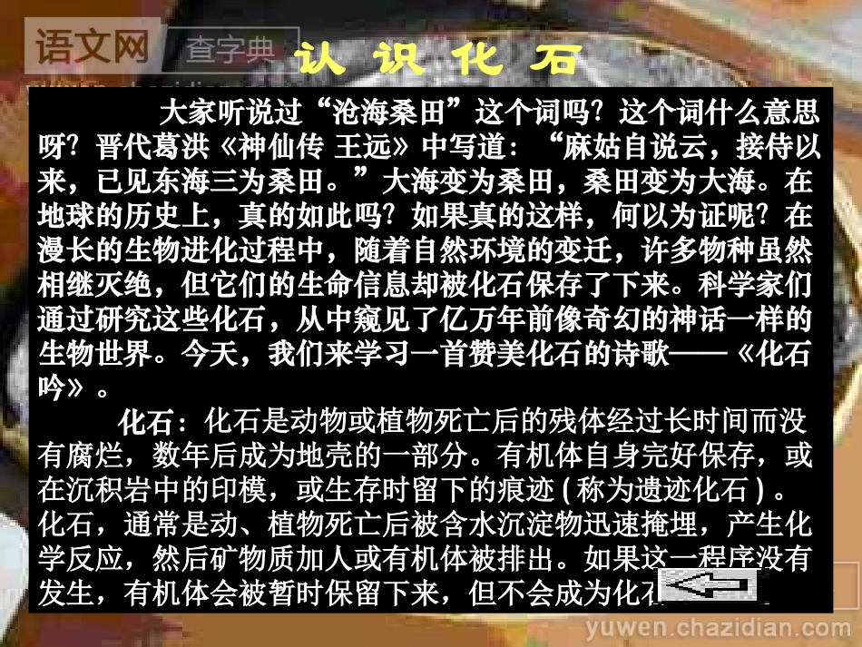 《化石吟》（转载）_第2页