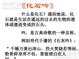 《化石吟》（转载）