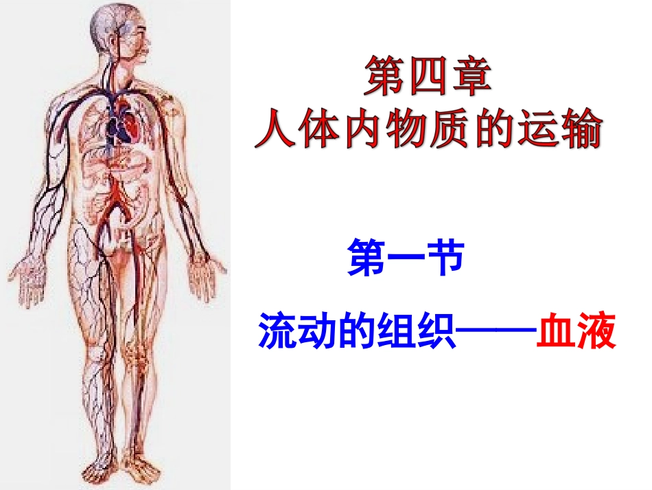 流动的组织—血液201304_第2页