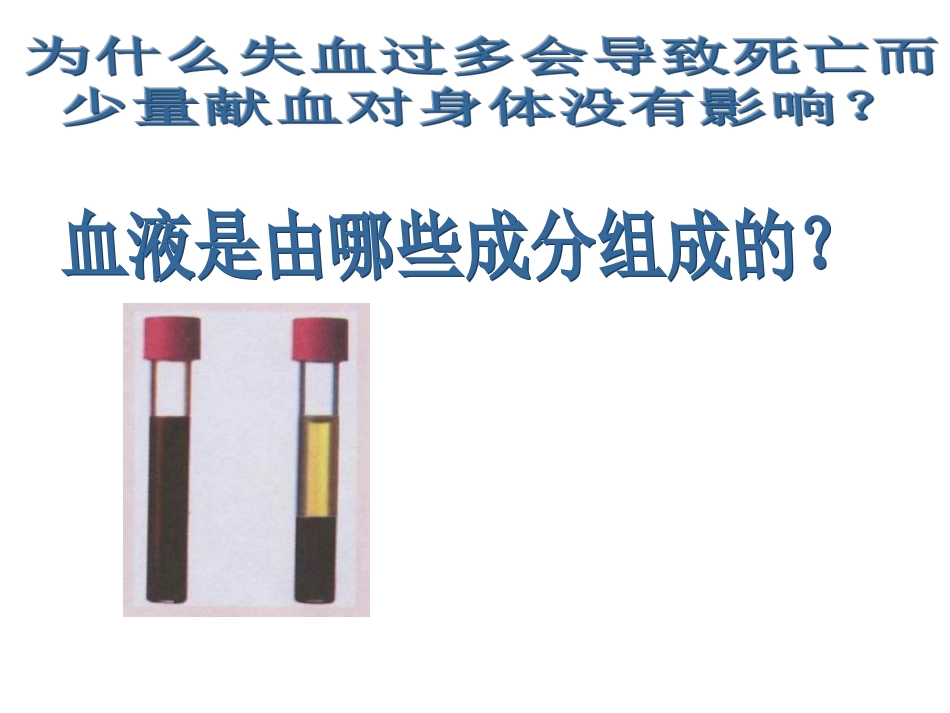 流动的组织—血液201304_第3页