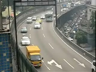 流动的组织—血液201304