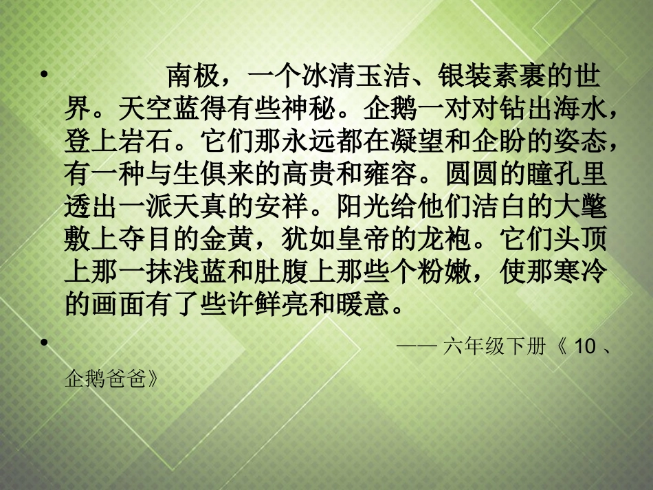 美丽的地球课件（张增惠）_第2页
