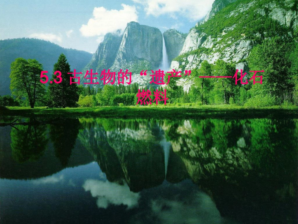 古生物遗产化石燃料_第1页