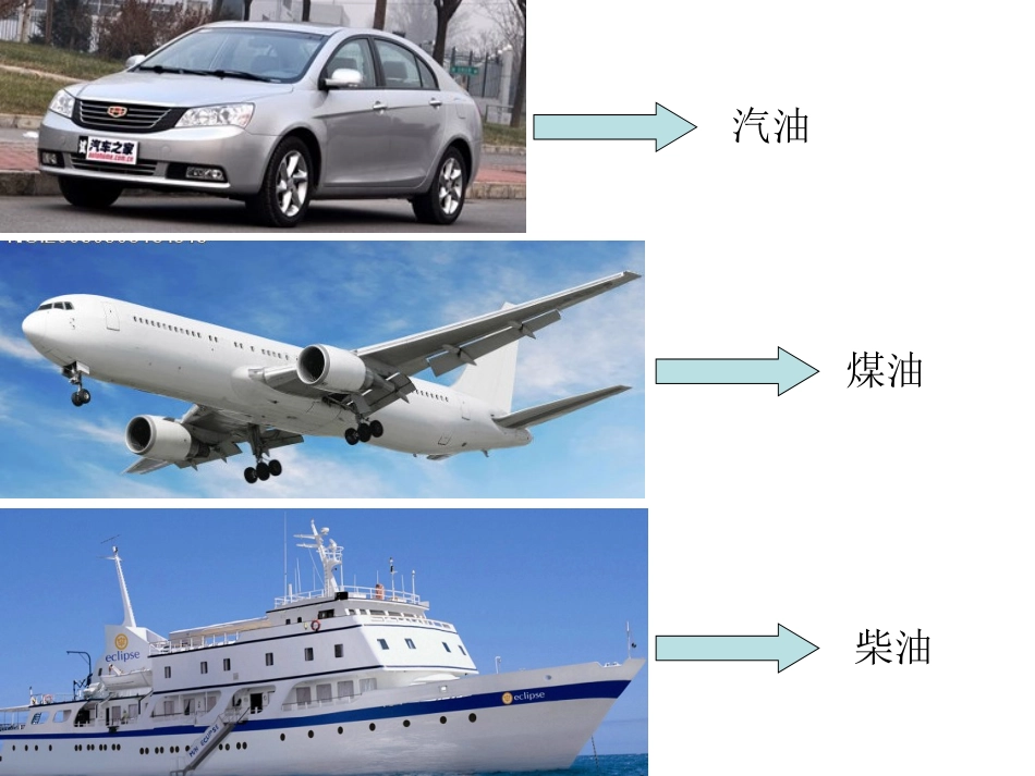 古生物遗产化石燃料_第2页