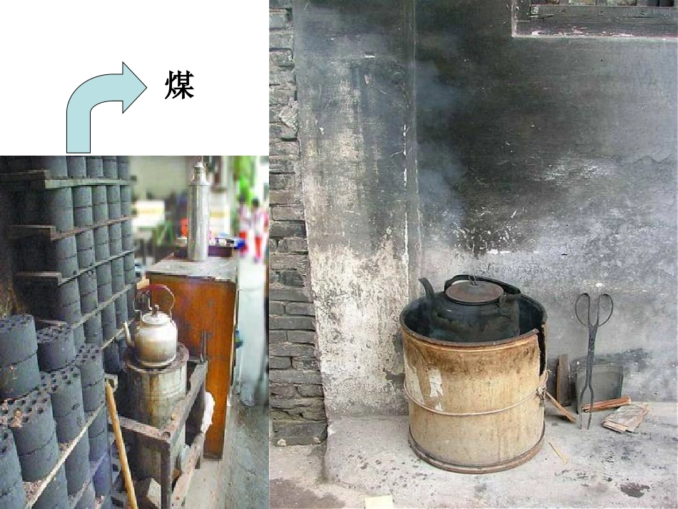 古生物遗产化石燃料_第3页