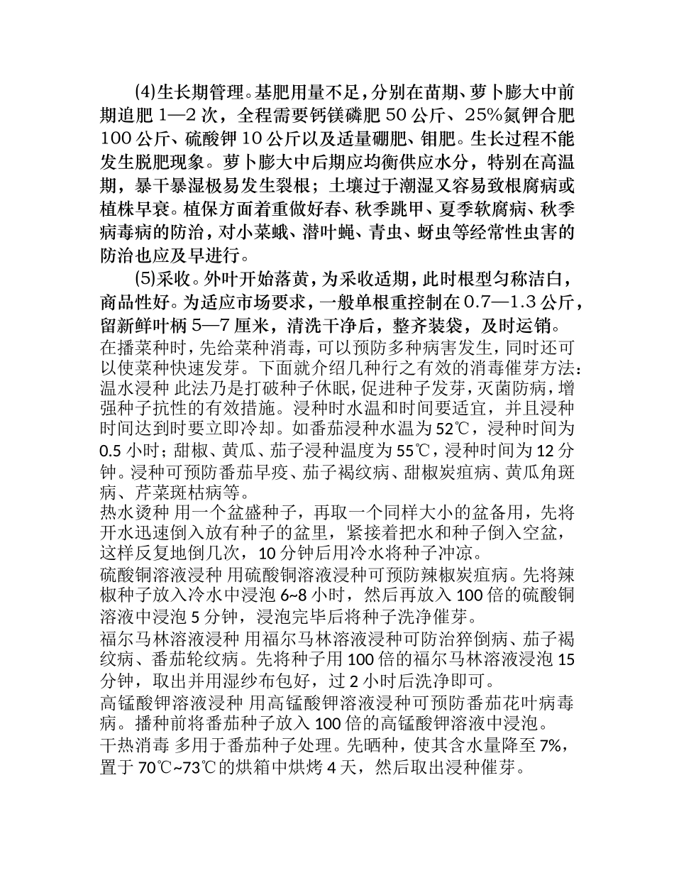 特新白玉春萝卜栽培技术_第2页