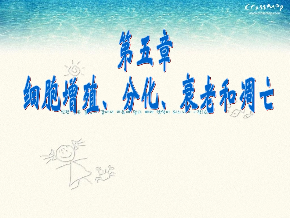 细胞增殖 (2)_第1页