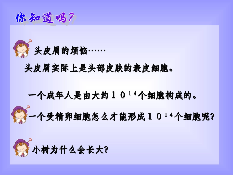 细胞增殖 (2)_第2页