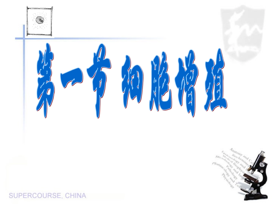 细胞增殖 (2)_第3页