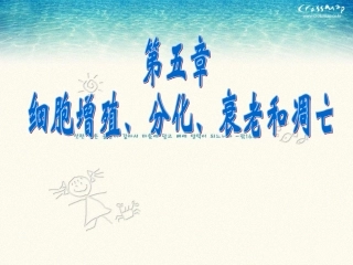 细胞增殖 (2)