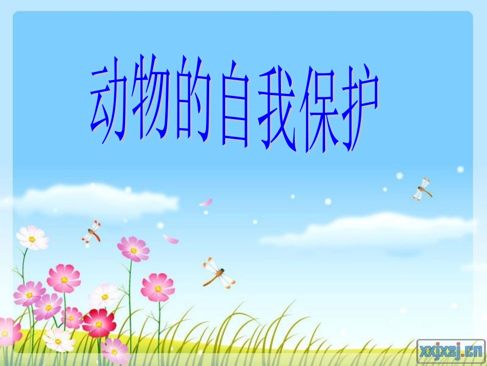 幼儿园课件：动物的自我保护_第1页