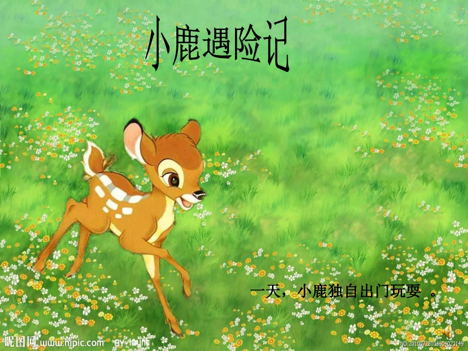 幼儿园课件：动物的自我保护_第3页