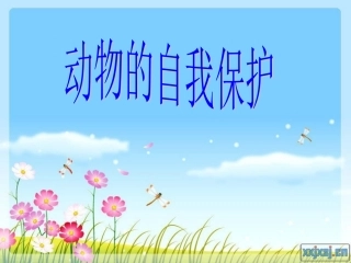 幼儿园课件：动物的自我保护