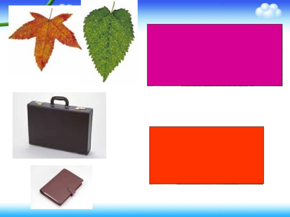 三年级数学下册《认识面积》PPT课件（北师大版）2_第3页