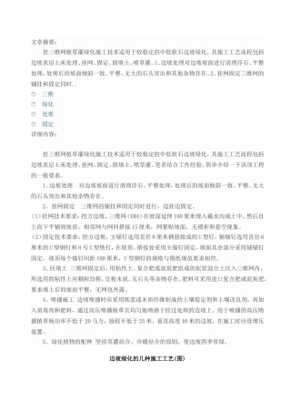 三维网喷草工艺