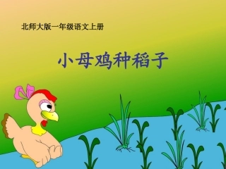 小母鸡种稻子