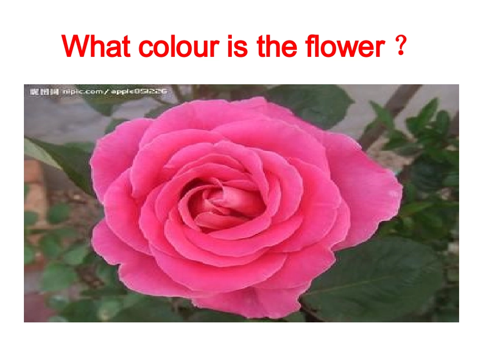 四册下第四单元第二课时PPT_第2页