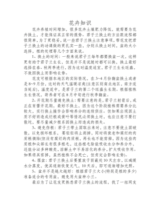君子兰应该怎么换土