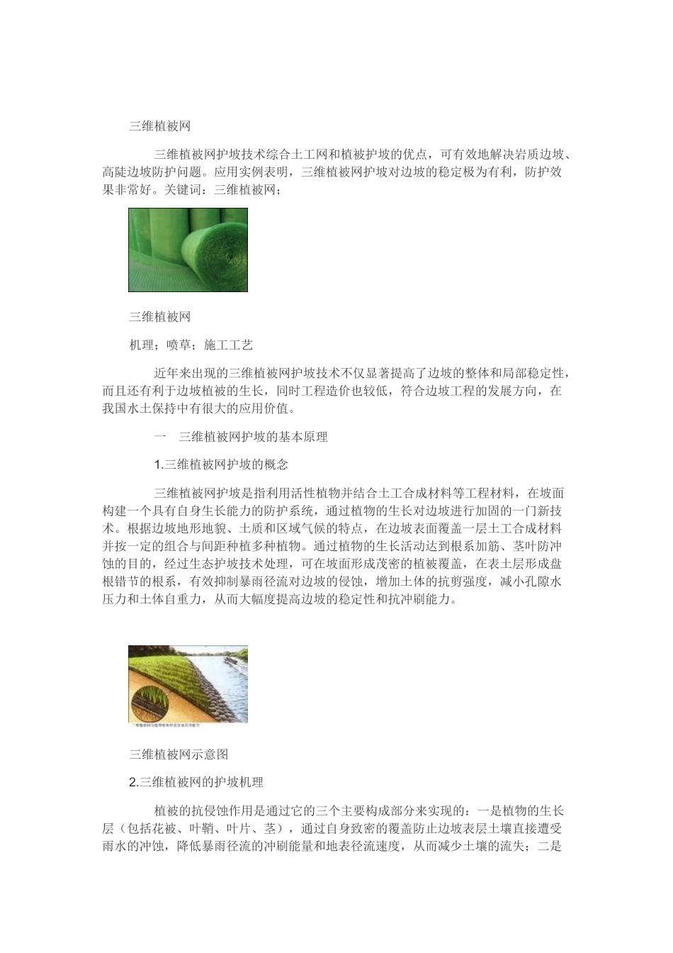 三维网喷播植草护坡_第2页