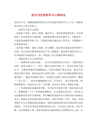 赴乌当区挂职学习心得体会 