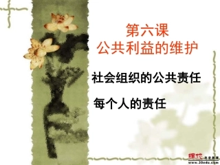 八年级下第六课政治公共利益的维护
