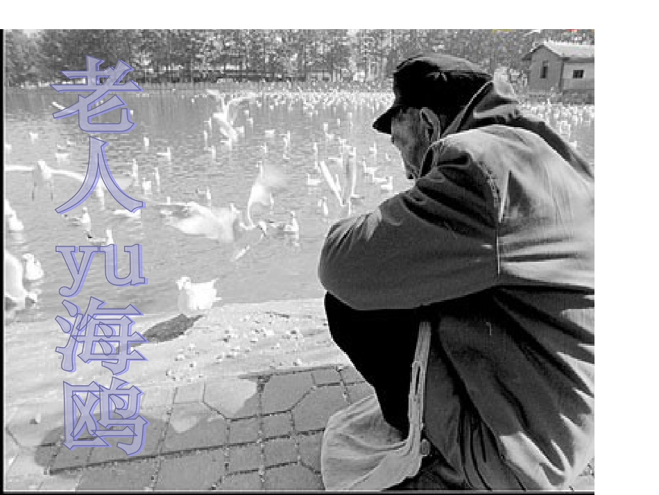 老人与海鸥很好用 _第2页