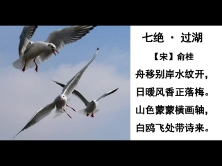 老人与海鸥很好用 