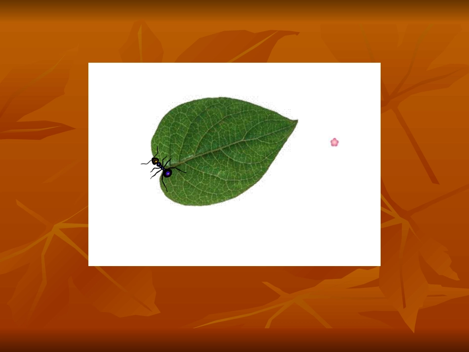 什么是周长 (2)_第2页